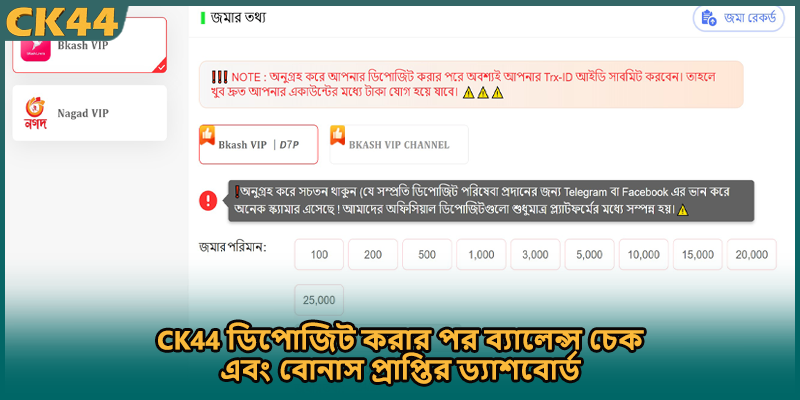 CK44 ডিপোজিট করার পর ব্যালেন্স চেক এবং বোনাস প্রাপ্তির ড্যাশবোর্ড