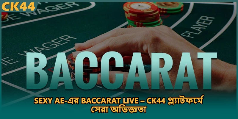 Sexy AE-এর Baccarat Live – CK44 প্ল্যাটফর্মে সেরা অভিজ্ঞতা
