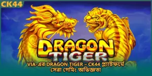 Via-এর Dragon Tiger – CK44 প্ল্যাটফর্মে সেরা গেমিং অভিজ্ঞতা