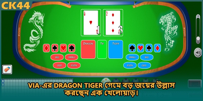 Via-এর Dragon Tiger গেমে বড় জয়ের উল্লাস করছেন এক খেলোয়াড়।