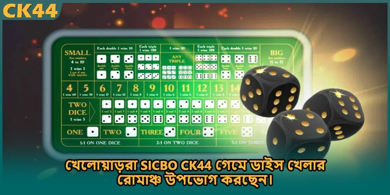 খেলোয়াড়রা Sicbo CK44 গেমে ডাইস খেলার রোমাঞ্চ উপভোগ করছেন।